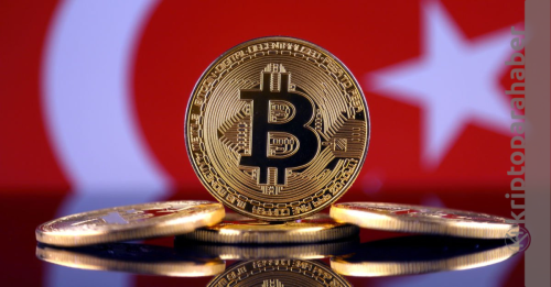 Türkler hangi kripto paralara yatırım yapıyor?