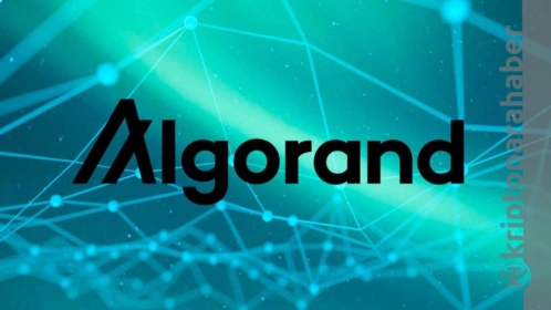 Algorand bu seviyeye tutunabilirse yeniden uçuşa geçebilir