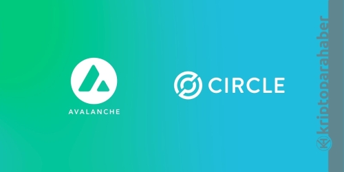 Avalanche, DeFi işlemlerini hızlandırmak için bir stabil coini bünyesine ekliyor