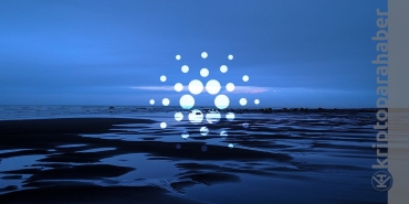 Cardano (ADA) ağında stake edilen ADA’lar rekor seviyeye çıktı; Ne anlama geliyor?