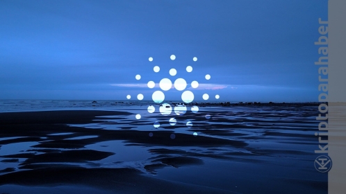 Cardano (ADA) ağında stake edilen ADA’lar rekor seviyeye çıktı; Ne anlama geliyor?
