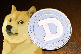 Dogecoin balinaları hareketlendi, bu devasa transferler fiyata etki edecek mi?