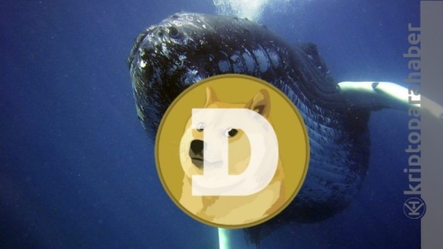 Elon Musk’ın Dogecoin açıklamasından önce, 850 milyon dolarlık değerinde işlem gerçekleştirildi