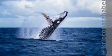 ETH balinaları dev MATIC alımı gerçekleştirdi