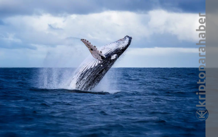 ETH balinaları son 24 saatte dev MATIC alımı gerçekleştirdi! Peki neden?