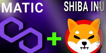 Shiba Inu ve Polygon son 24 saatin en fazla kazananları oldu! İşte nedeni