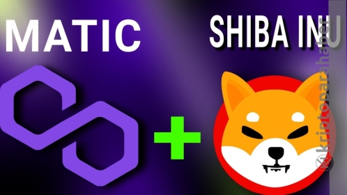 Shiba Inu ve Polygon son 24 saatin en fazla kazananları oldu! İşte nedeni