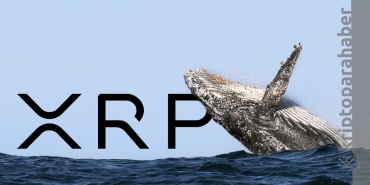 Ripple balinaları iki gündür hareket halinde; yüklü miktarda XRP transferi gerçekleştiriliyor!