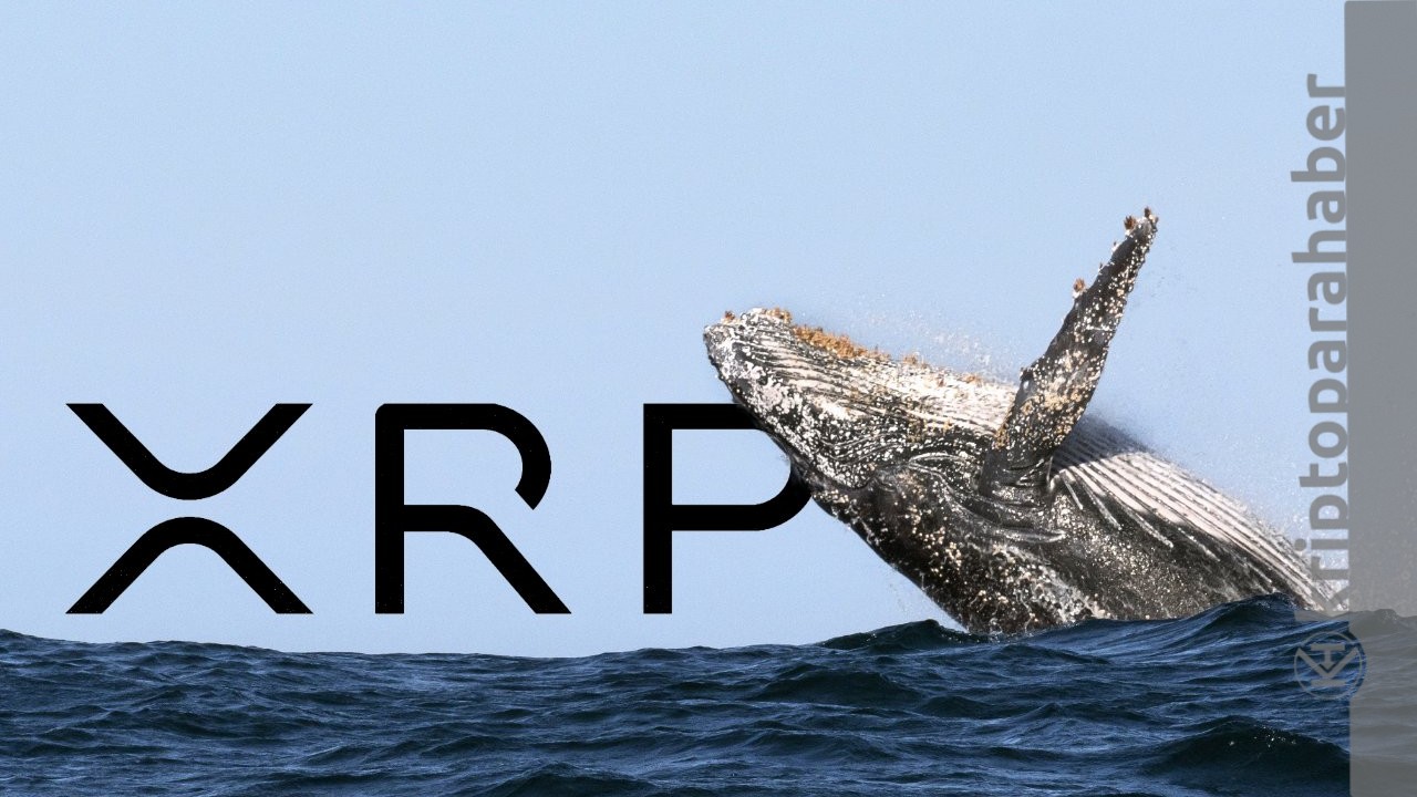 Ripple balinaları iki gündür hareket halinde; yüklü miktarda XRP transferi gerçekleştiriliyor!