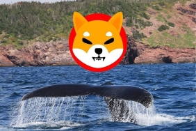 Balinaların Shiba ısrarı bitmiyor, yeni alımlar göründü