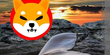 Shiba Inu balinalarının varlıkları kritik seviyede! SHIB fiyatına etkisi olur mu?