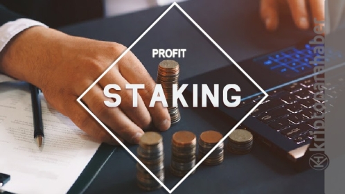 2025 Yılında Staking İçin En İyi Coinler: Yüksek Stake Getirisi Olan Kripto Paralar