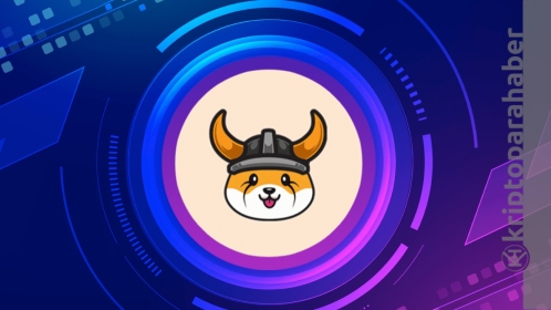 FLOKI ile ilgili flaş gelişme; Toplam arzı CoinMarketCap tarafından onaylandı!