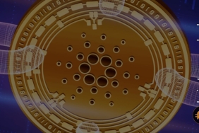 ADACash projesiyle dikkat çekiyor: Ekip, Staking imkanı sunuyor