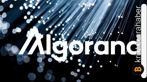 İşte bu altcoin’e yatırım yapmadan önce bilmeniz gereken her şey! – Algorand (ALGO)