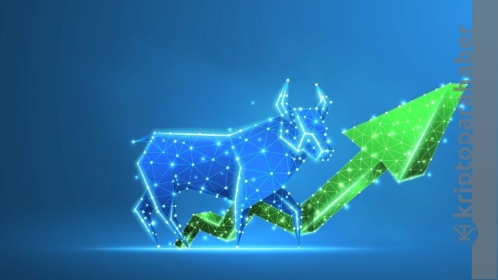 Piyasa düşerken dimdik duran iki altcoin! Güç gösterisi yapıyorlar