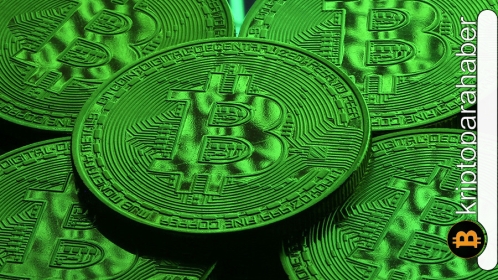 Bitcoin Cash aynı BTC gibi düşüşte! Bitcoin’in düşüşe etkisi nedir?