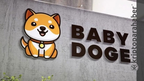 Gözde meme coin’lerden bir tanesi olan Baby Doge Coin yüzde 2 oranında değer kaybetti!