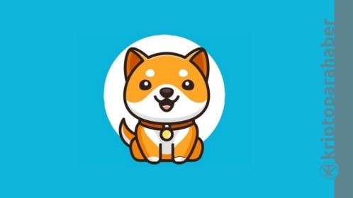 BabyDoge kullanıcı sayısında yeni bir rekora daha imza attı