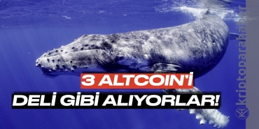 Balinaların deli gibi aldığı 3 altcoin hangisi?