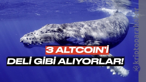 Piyasa çöküşünde balinaların “deli gibi” aldığı 3 altcoin!