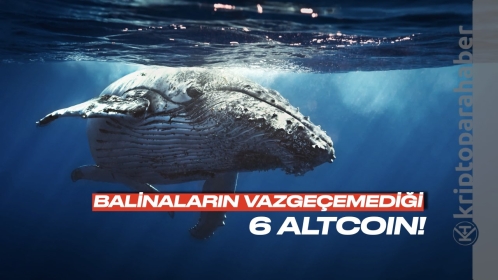 Balinaların şu sıralar asla vazgeçmediği 6 kripto para!