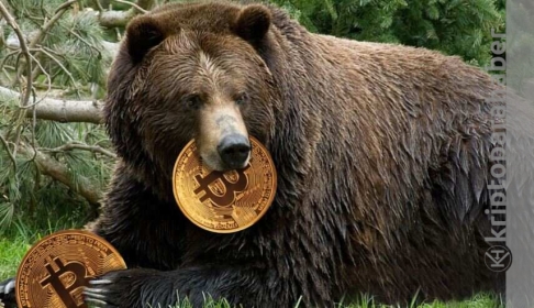 Kripto para piyasası son hız düşüyor! 2022 yılı ayı piyasası mı olacak?