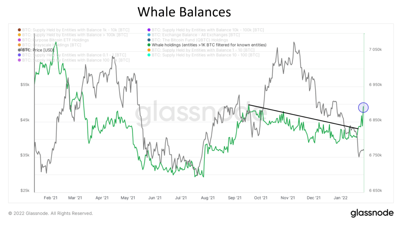Bitcoin balinaları, aylar son bakiye artırdı