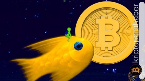 Devasa Bitcoin hareketliliği, cüzdanlar arası geçiş ne anlama geliyor?