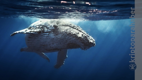 Dev Bitcoin balinasından akıllara zarar transfer! Neler oluyor?