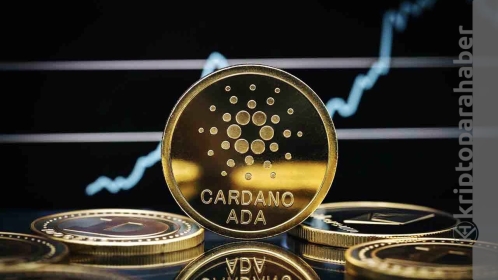 Cardano yükselecek mi? Ralli devam edecek mi? İşte yanıtı!