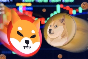 DOGE, SHIBA, FLOKI analizi