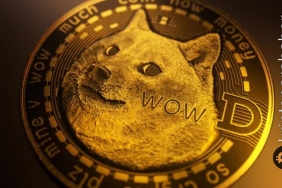 Dogecoin yükselecek mi?