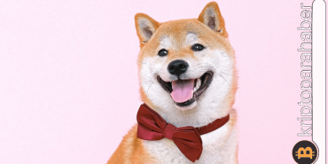Shiba Inu (SHIB) kullanıcı sayısı yeni bir rekor daha kırdı!