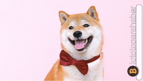 Shiba Inu (SHIB) kullanıcı sayısı yeni bir rekor daha kırdı!