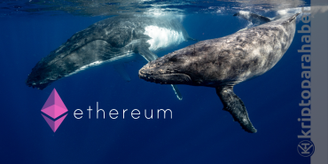 Ethereum balinası bu iki altcoine adeta saldırdı: Neredeyse dünyaları aldı!