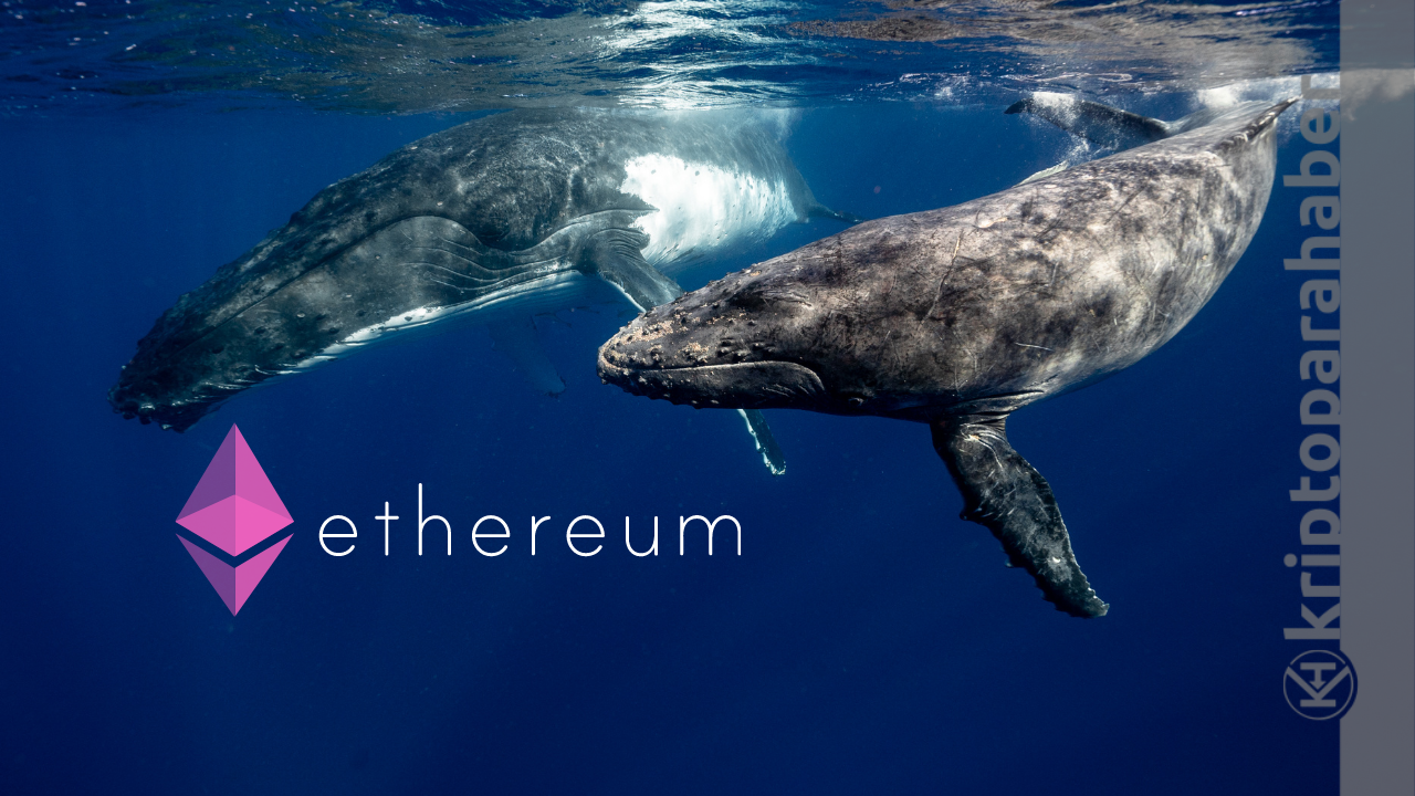 Ethereum balinası bu iki altcoine adeta saldırdı: Neredeyse dünyaları aldı!