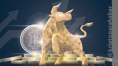 Bu altcoin önümüzdeki günlerde adından daha çok söz ettirmeye hazırlanıyor!