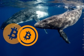 Piyasa kan gölüne dönerken, Bitcoin balinaları dur durak bilmiyor!