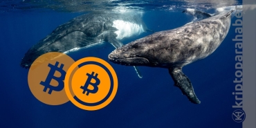 Piyasa kan gölüne dönerken, Bitcoin balinaları dur durak bilmiyor!