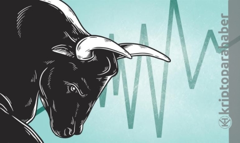 Shiba Inu, Cardano ve Monero için olumlu sinyaller var! İşte ayrıntılar