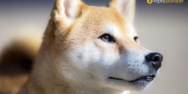 Flaş: Shiba Inu'da dip alarmı! Kötü günler geride mi kaldı?