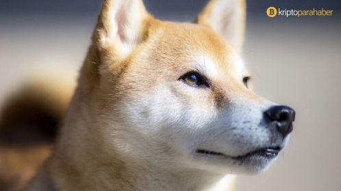 Flaş: Shiba Inu’da dip alarmı! Kötü günler geride mi kaldı?