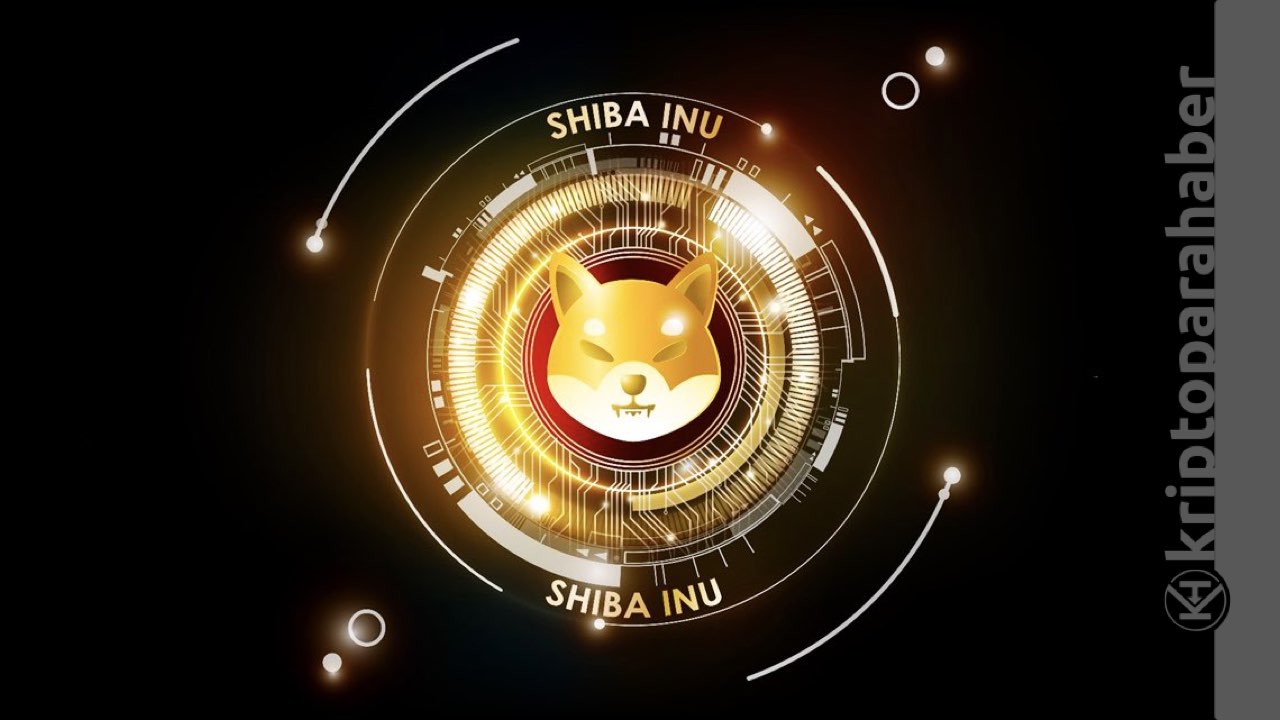 Shiba Inu, Ethereum'a rakip oluyor