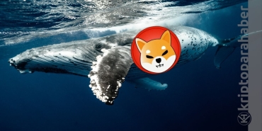 Shiba Inu balinaları ayaklandı Devasa alımlar geliyor! Neler oluyor?
