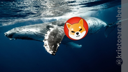 Shiba Inu balinaları ayaklandı: Devasa alımlar geliyor! Neler oluyor?