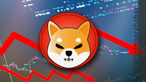 Shiba Inu (SHIB) durdurulamıyor, düştükçe düşüyor! Bu seviyeler alım fırsatı olabilir mi?
