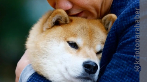 Shiba Inu’da daha önce görülmemiş katliam geliyor! Girdap başladı… SHIB masalı sona mı eriyor?