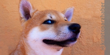 Shiba Inu roketledi