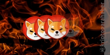 Shiba Inu yangın yerine döndü! Yakım işlemleri devam ediyor